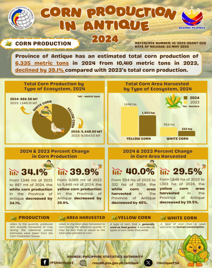 Antique Corn Production: 2024