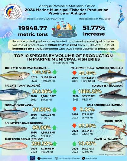 2024 Marine Municipal Fisheries Production Province of Antique