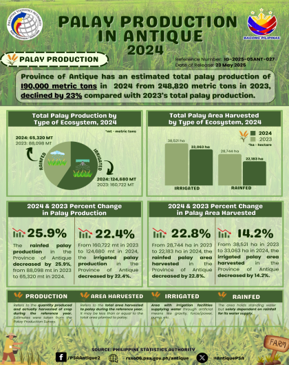 Antique Palay Production: 2024