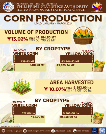 Corn Production