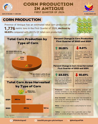 Corn Production in Antique: First Quarter of 2024