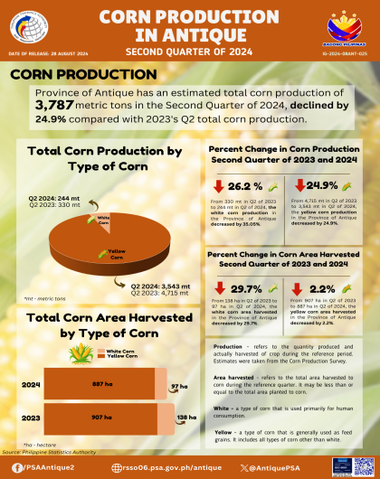 Corn Production in Antique: Second Quarter of 2024