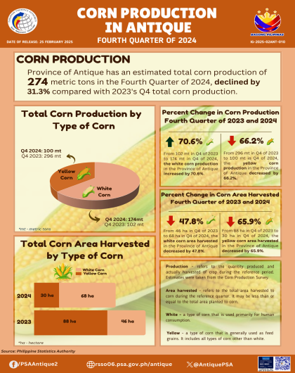 Corn Production in Antique: Fourth Quarter of 2024