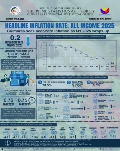Infographics 09 all Income _Mar 2025
