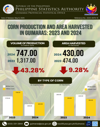 INFORGRAPHICS