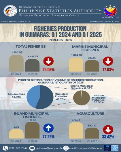 PSA Guimaras_Infographics No. 23_2025