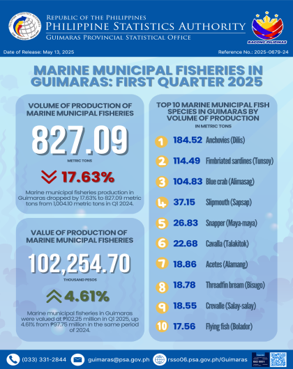 PSA Guimaras_Infographics No. 24_2025