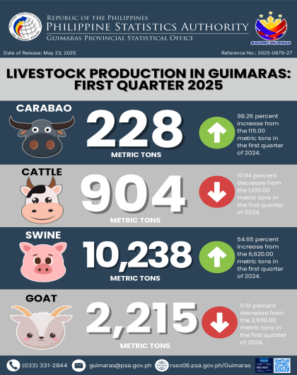 PSA Guimaras_Infographics No. 27_2025