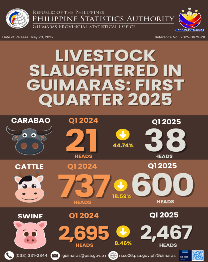 PSA Guimaras_Infographics No. 28_2025
