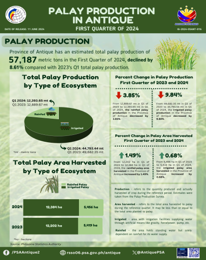 Palay Production in Antique: First Quarter of 2024