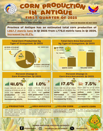 Corn Production in Antique: First Quarter of 2025