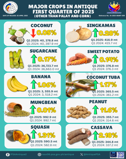 Major Crops (Other than Palay and Corn) Production in Antique: First Quarter of 2025 