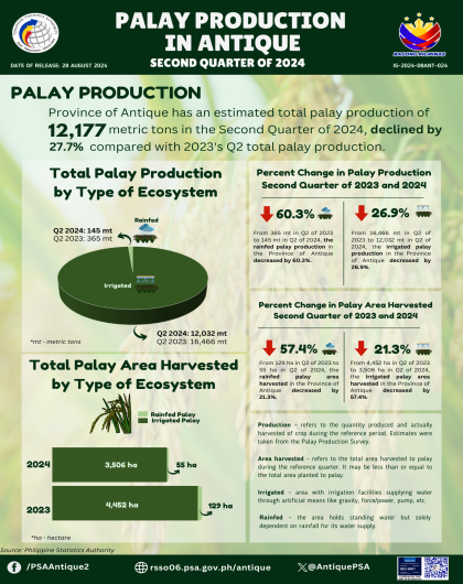 Palay Production in Antique: Second Quarter of 2024