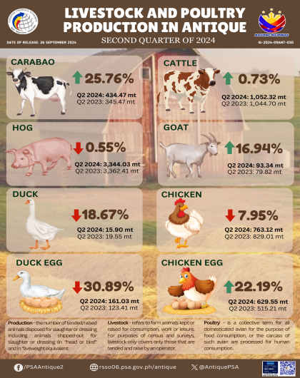 Livestock and Poultry Production in Antique: 2nd Quarter of 2024