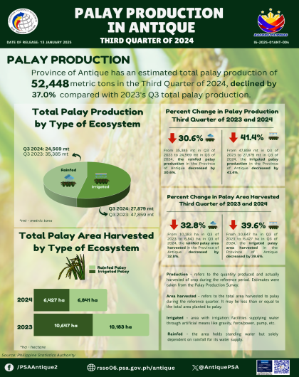 Palay Production in Antique: Third Quarter of 2024