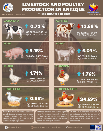 Livestock and Poultry Production in Antique: Third Quarter of 2024