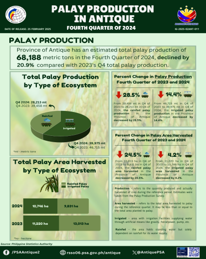 Palay Production in Antique: Fourth Quarter of 2024