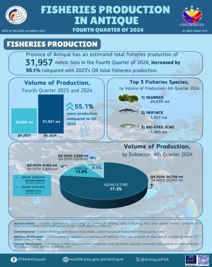 Fisheries Production in Antique: Fourth Quarter of 2024