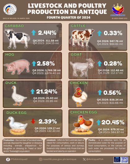 Livestock and Poultry Production in Antique: Fourth Quarter of 2024